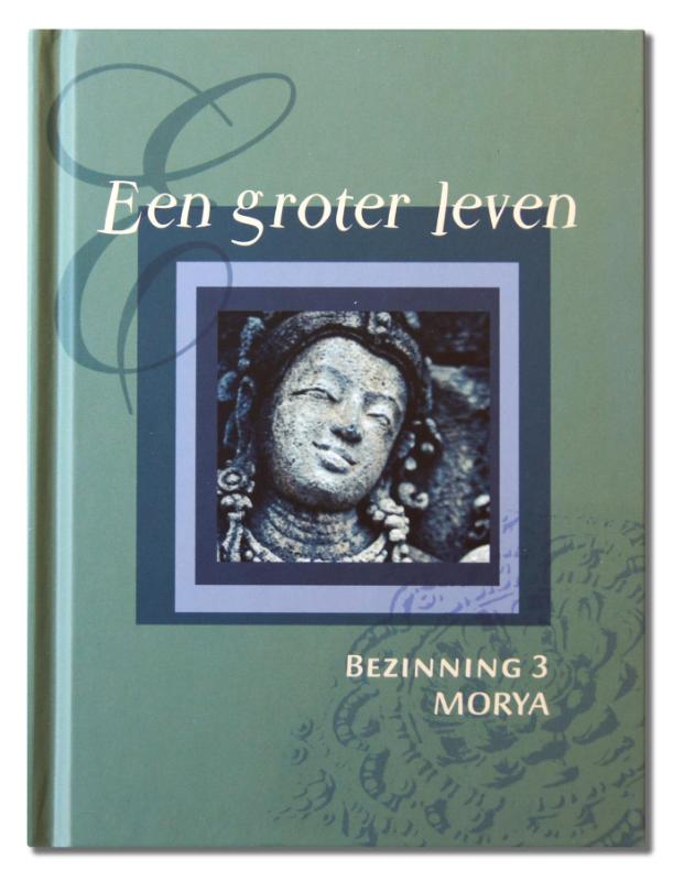 Omslag van Een groter leven