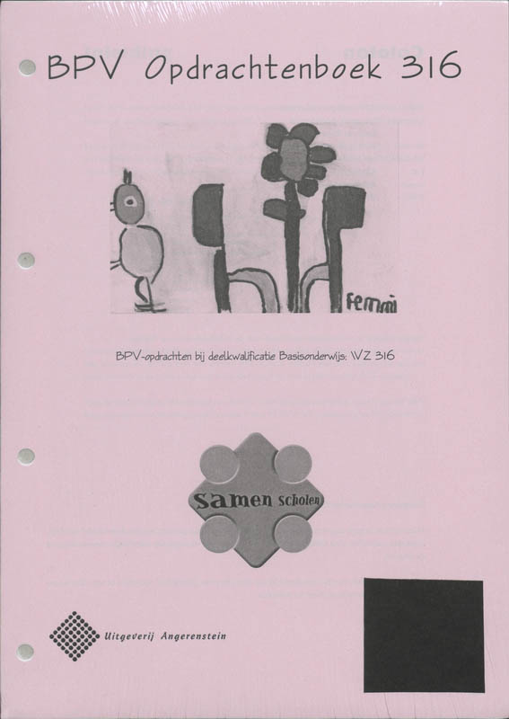 Omslag van 316
