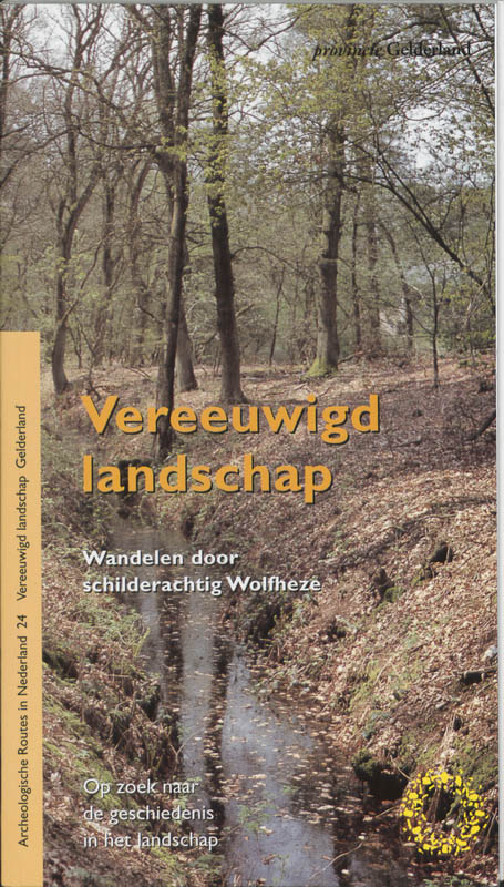 Omslag van Vereeuwigd landschap