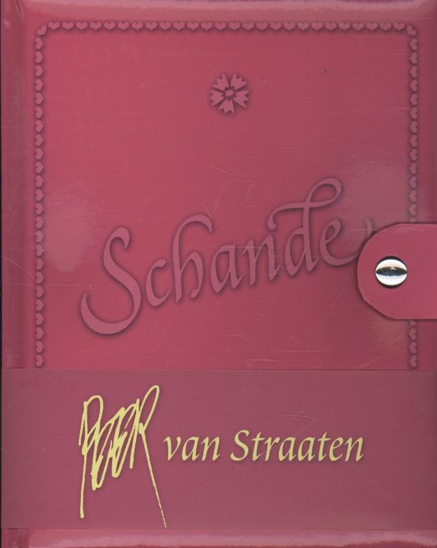 Omslag van Schande!
