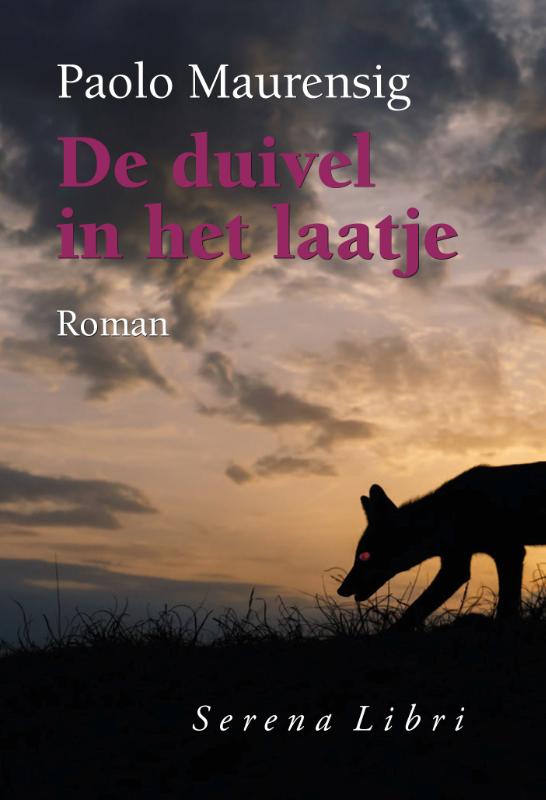 Omslag van De duivel in het laatje