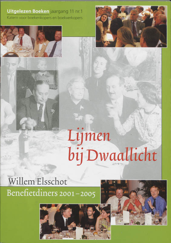 Omslag van Lijmen bij dwaallicht