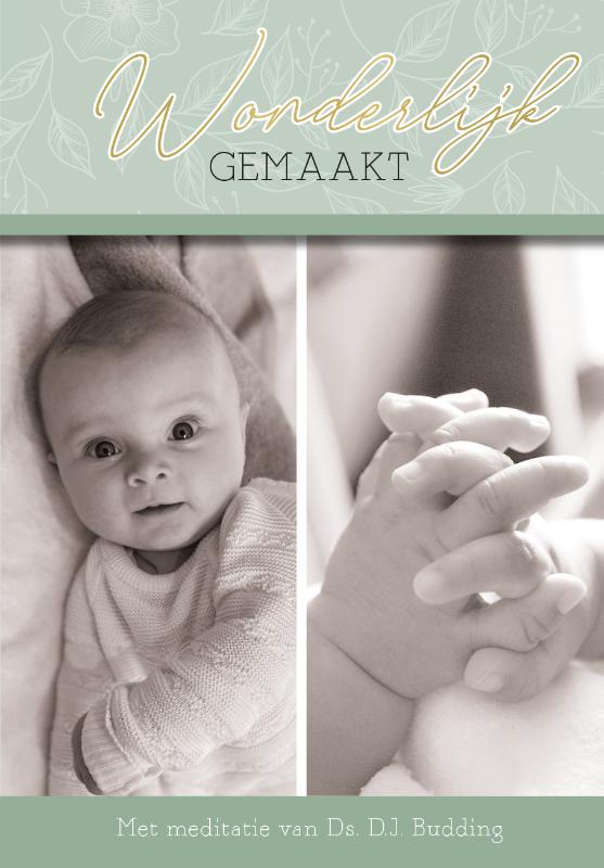 Omslag van Wonderbaarlijk gemaakt