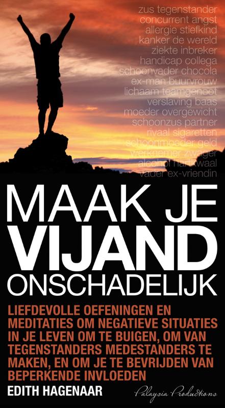 Omslag van Maak je vijand onschadelijk