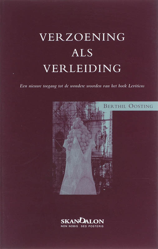 Omslag van Verzoening als verleiding