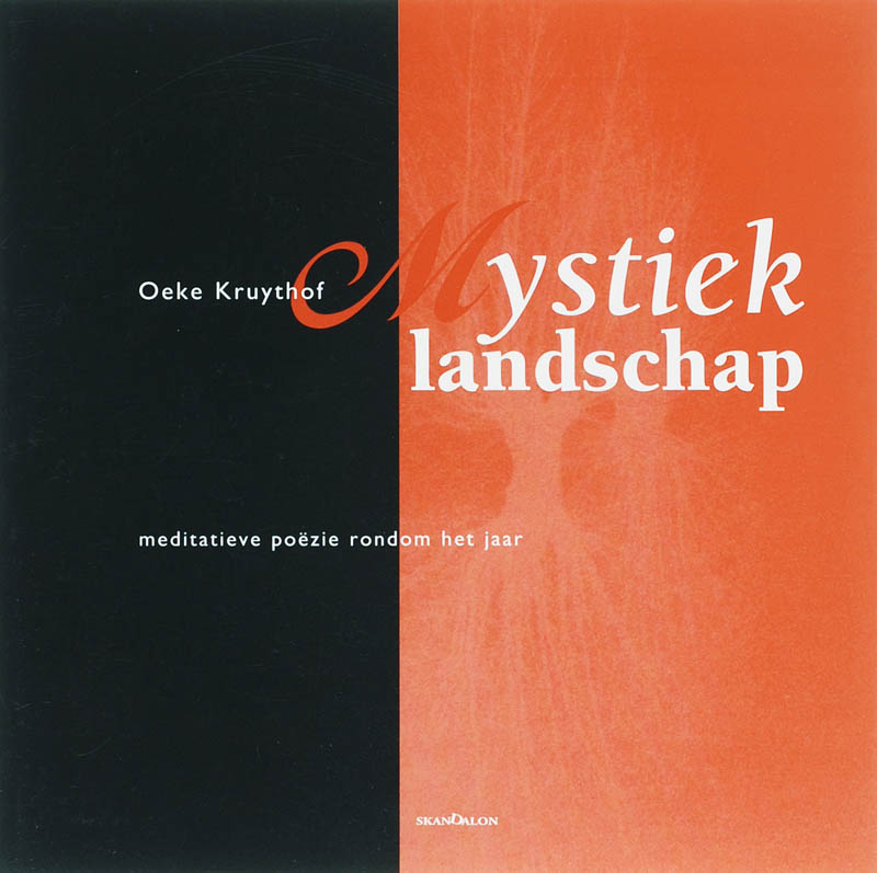 Omslag van Mystiek landschap