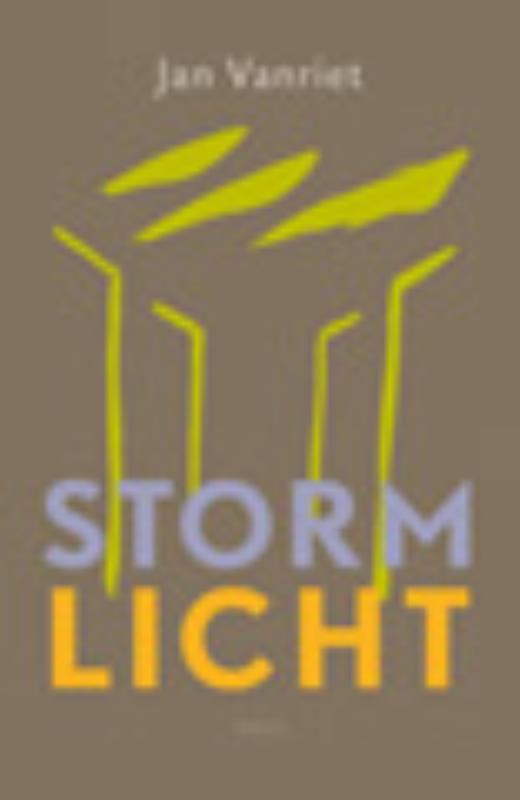 Omslag van Stormlicht