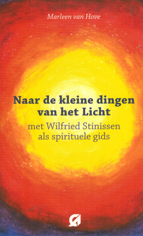 Omslag van Naar de 'kleine dingen van het licht'