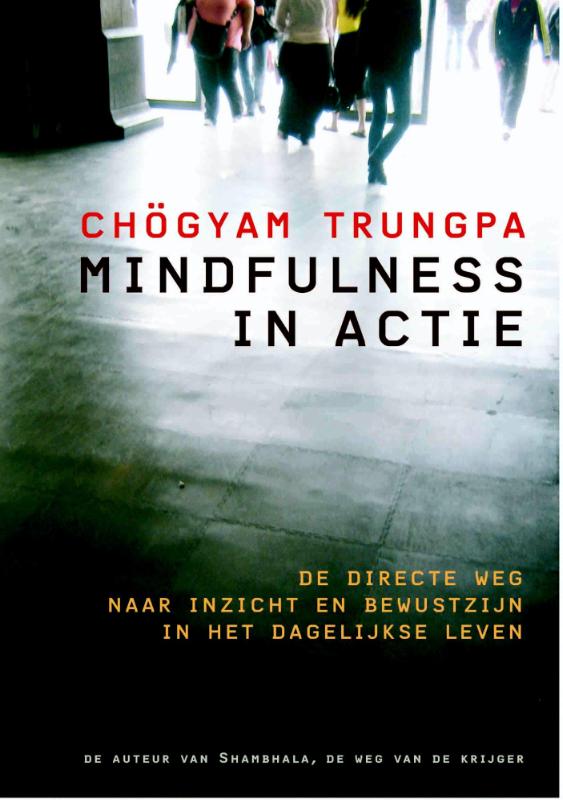 Omslag van Mindfulness in actie