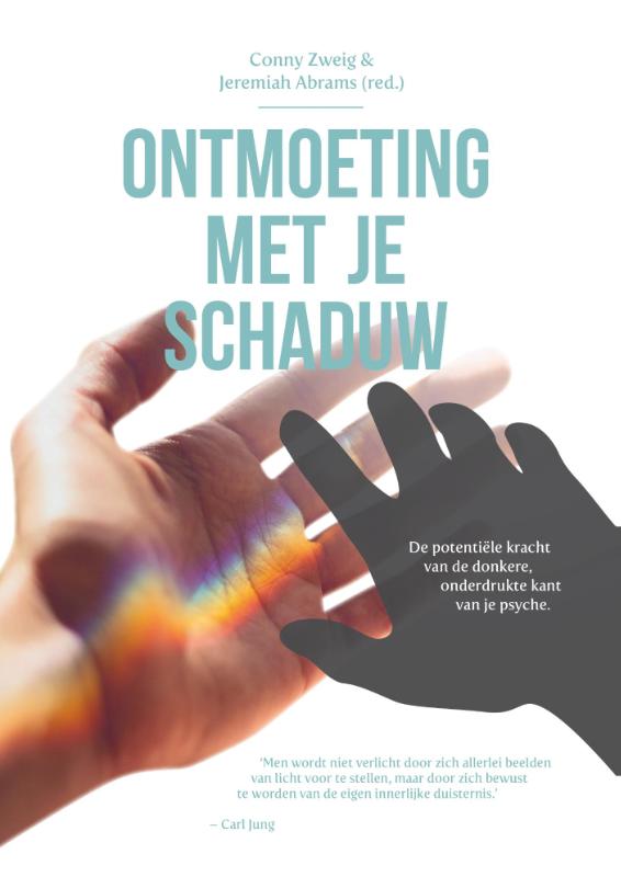 Omslag van Ontmoeting met je schaduw