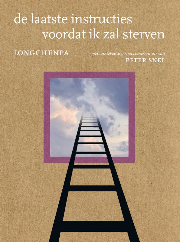 Omslag van De laatste instructies voordat ik zal sterven
