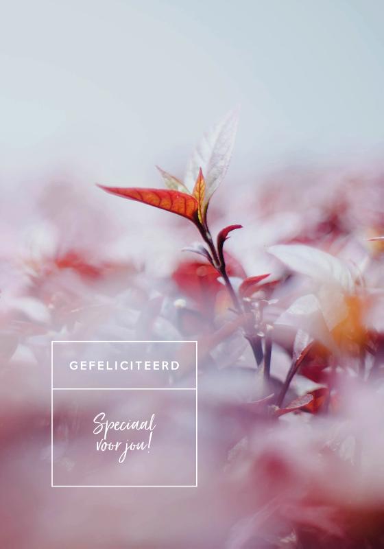 Omslag van Wensboekje Gefeliciteerd