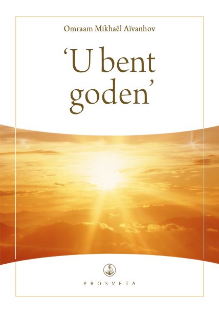 Omslag van 'U bent goden'