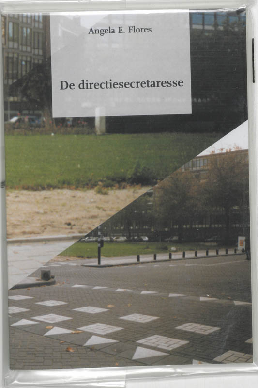 Omslag van De directiesecretaresse