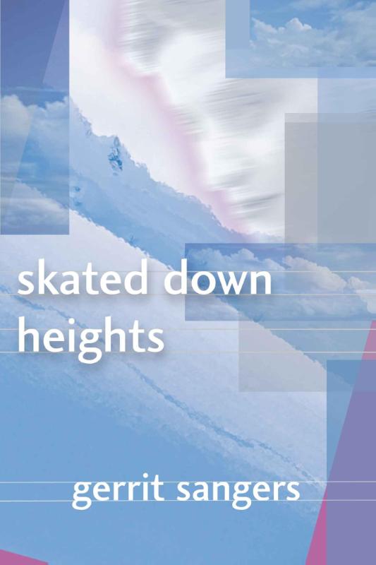 Omslag van Skated down heights