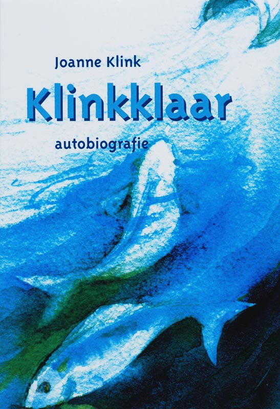 Omslag van Klinkklaar
