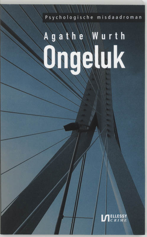 Omslag van Ongeluk