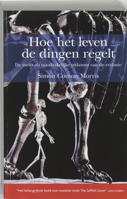 Omslag van Hoe het leven de dingen regelt