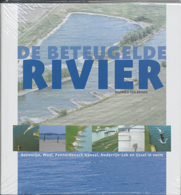 Omslag van De beteugelde rivier