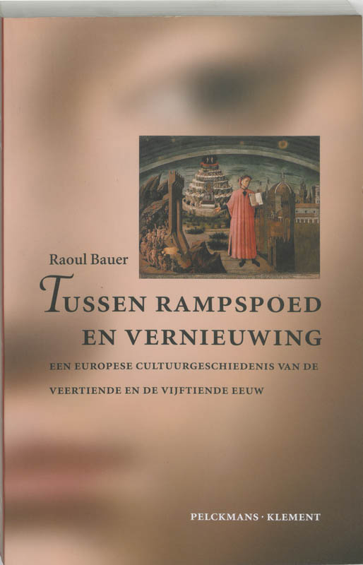 Omslag van Tussen rampspoed en vernieuwing