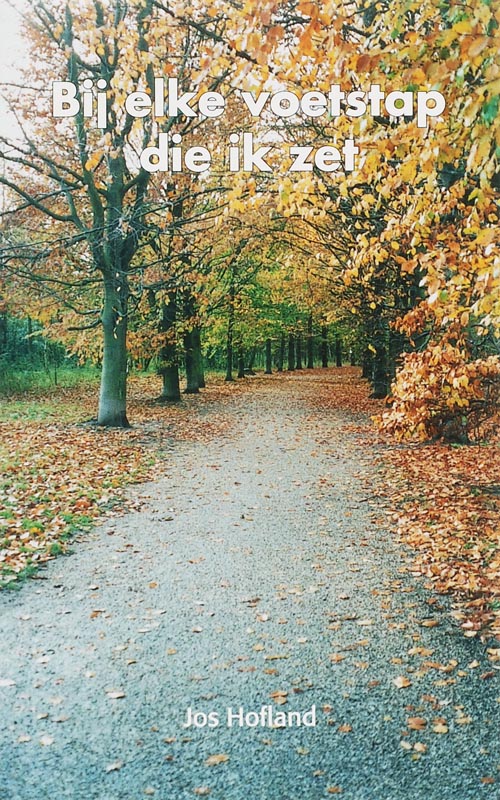 Omslag van Bij elke voetstap die ik zet
