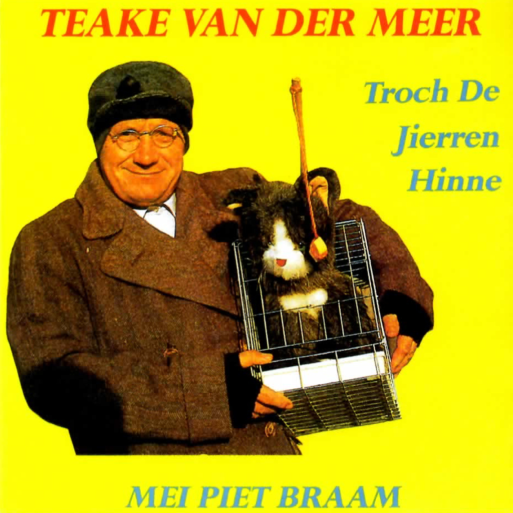 Omslag van Troch de jierren hinne