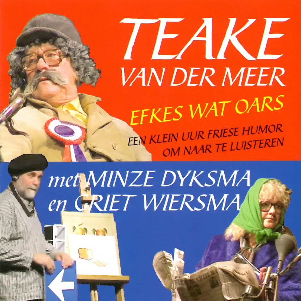 Omslag van Efkes wat oars