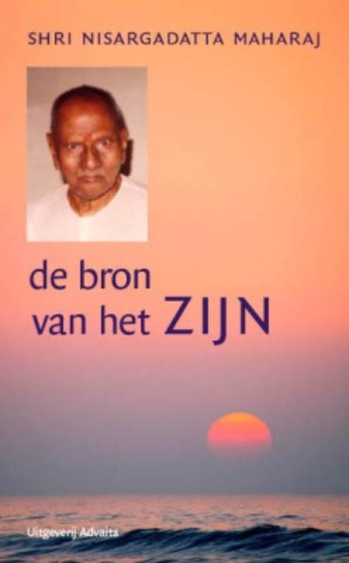 Omslag van De bron van het zijn