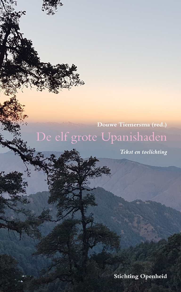 Omslag van De elf grote Upanisaden e-book