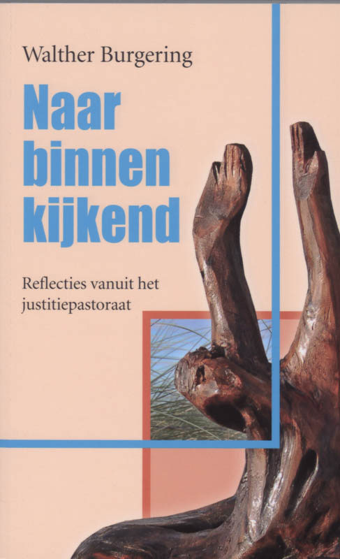 Omslag van Naar binnen kijkend