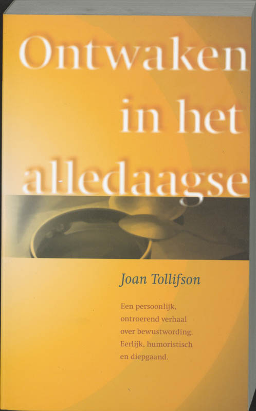Omslag van Ontwaken in het alledaagse