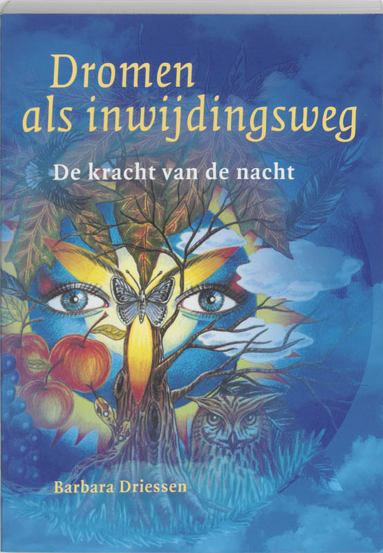 Omslag van Dromen als inwijdingsweg