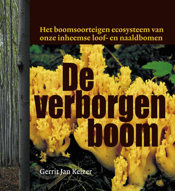 Omslag van De verborgen boom