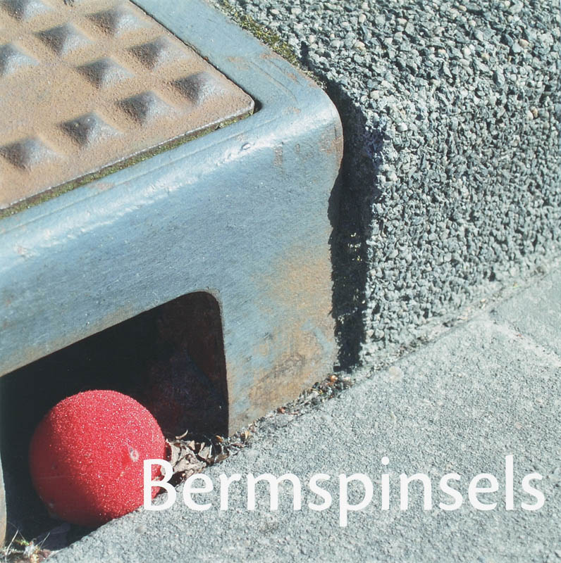 Omslag van Bermspinsels