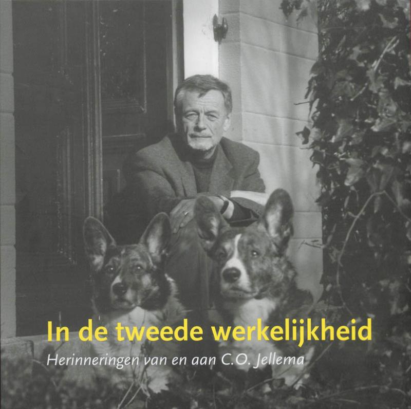 Omslag van In de tweede werkelijkheid