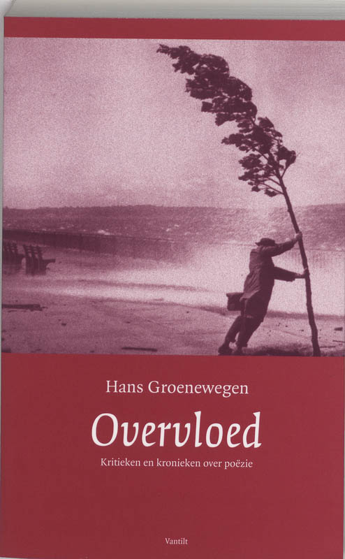 Omslag van Overvloed