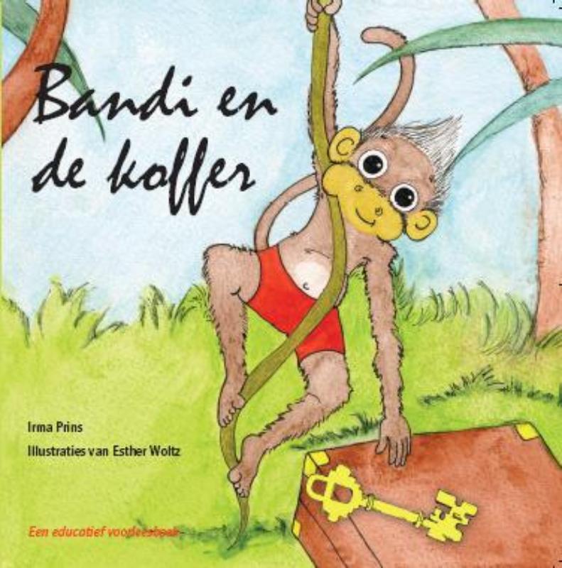 Omslag van Bandi en de koffer