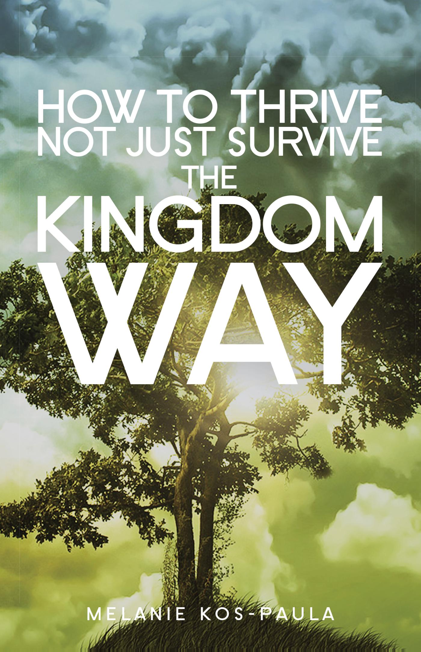 Omslag van How to thrive not just survive the kingdom way