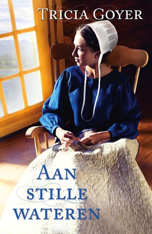 Omslag van Aan stille wateren