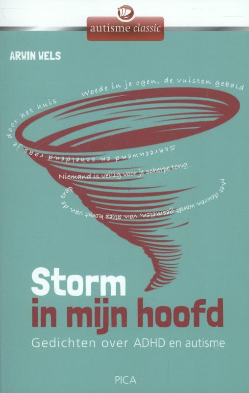 Omslag van Storm in mijn hoofd