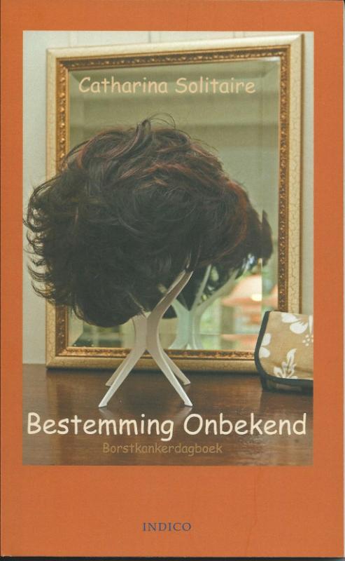 Omslag van Bestemming onbekend