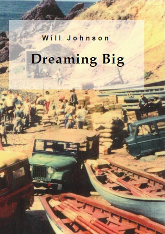 Omslag van Dreaming Big
