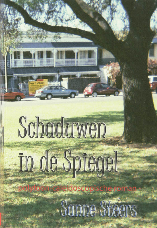 Omslag van Schaduwen in de spiegel