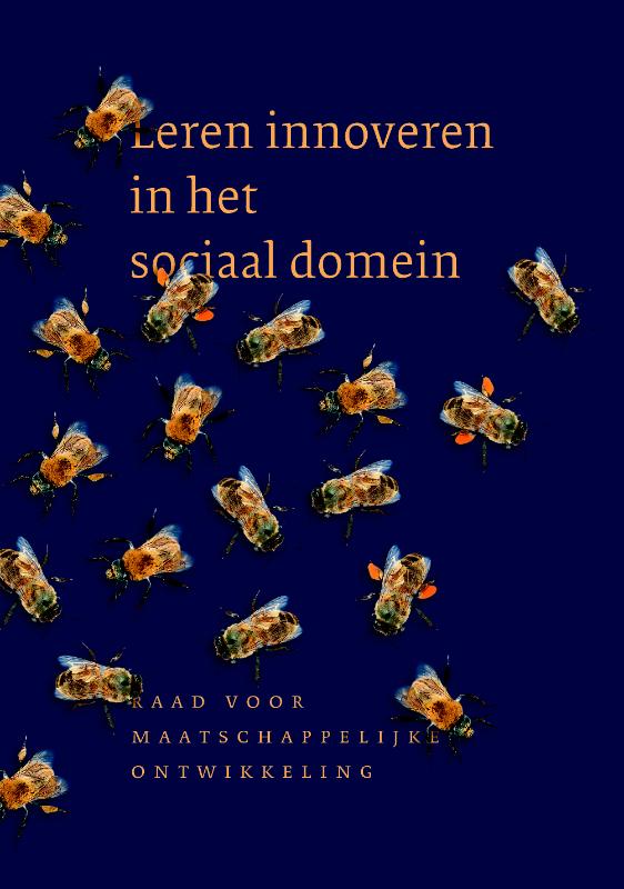 Omslag van Leren innoveren in het sociaal domein