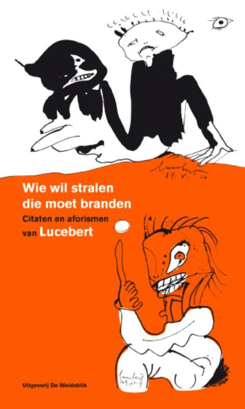 Omslag van Wie wil stralen die moet branden