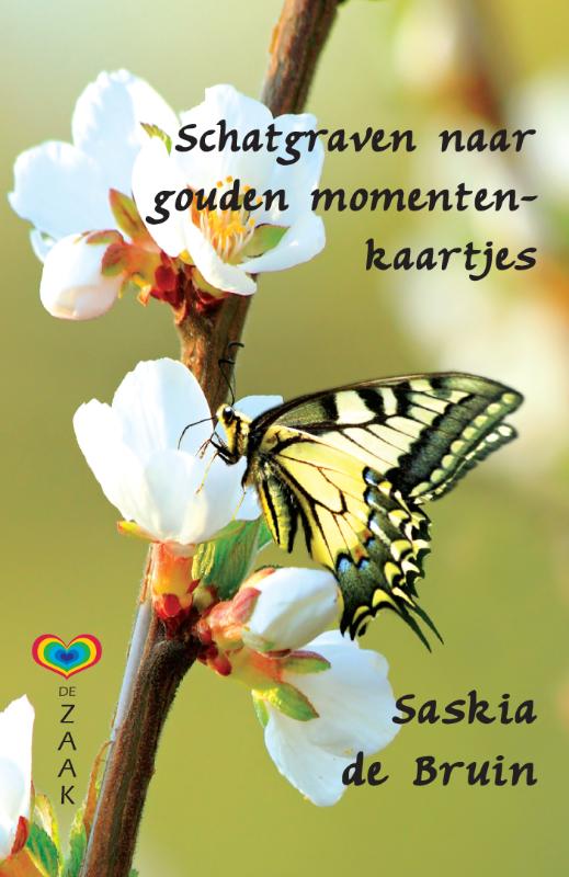 Omslag van Schatgraven naar gouden momenten-kaartjes
