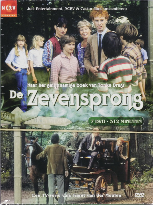Omslag van De zevensprong