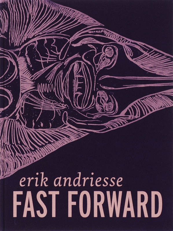 Omslag van Fast Forward