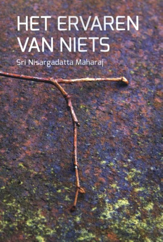 Omslag van Het ervaren van niets