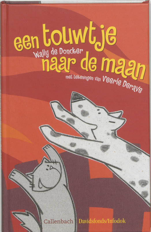 Omslag van Een touwtje naar de maan